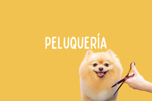 Peluquería